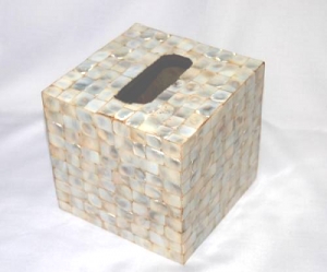 Manufacturers Exporters and Wholesale Suppliers of Napkin Box Moradabad Uttar Pradesh